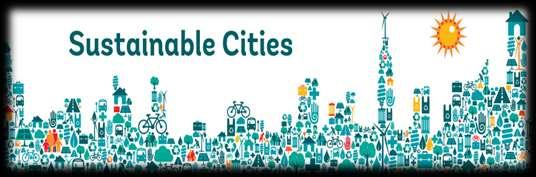 EXISTING CONDITIONS OF AND SOLUTIONS FOR THE DEVELOPMENT OF SUSTAINABLE URBAN TRANSPORT IN SOME MAJOR CITIES OF PhD.
