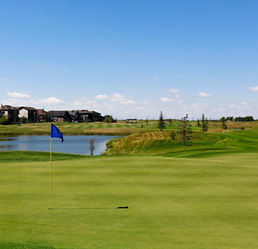 6,869 yards of perfectly manicured fairways and greens will have you reaching for every club in your bag. SPRINGBANK LINKS GOLF COURSE www.springbanklinks.