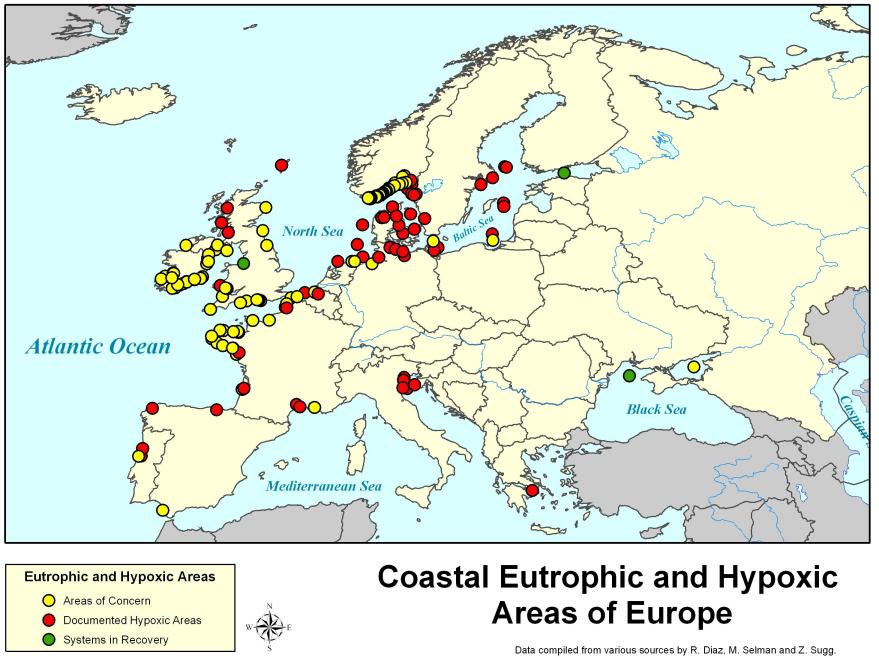 Eutrophication in European seas Diaz, R.J. and R. Rosenberg. 2008.