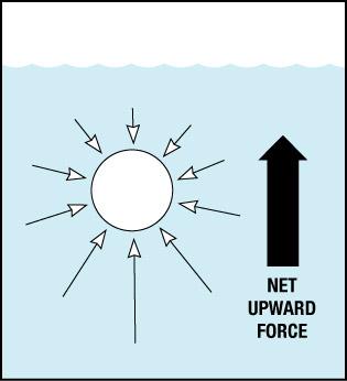 The Buoyant Force and Archimedes Principle The pressure in unbounded fluids increases with depth.
