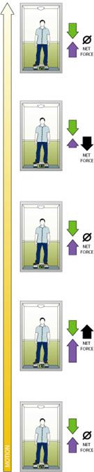 Moving in an Elevator Forces are: balanced (A) before starting, (E) after stopping, and (C) while gliding in uniform motion between floors.