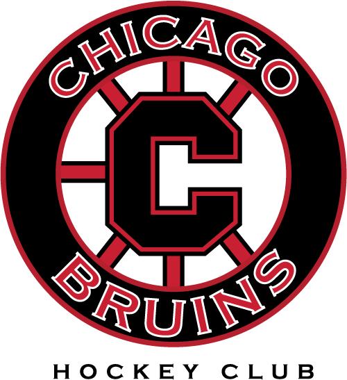 2010-2011 Registration Packet Everything you need to register with the Chicago Bruins Hockey Club for the