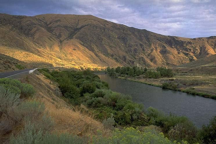 Yakima River Chinook Salmon Life table Stage # fish Survival Eggs 5000 0.05 Smolt 250 0.57 Prosser 142 0.