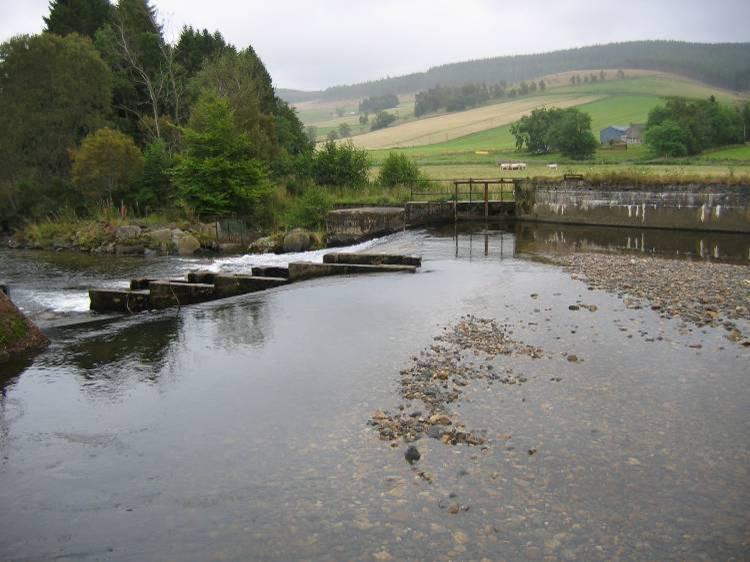 Figure 1. Looking from the North Bank towards the fish pass and the twin sluices on the south bank. Notice the raised gravel bars in front of the fish pass.