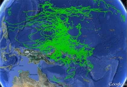 FAD Tracking in South Pacific FADs are prolific in the South Pacific and contribute significantly to ghost fishing,
