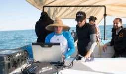 Successful solutions Saving the Vaquita This project uses side scan sonar provided