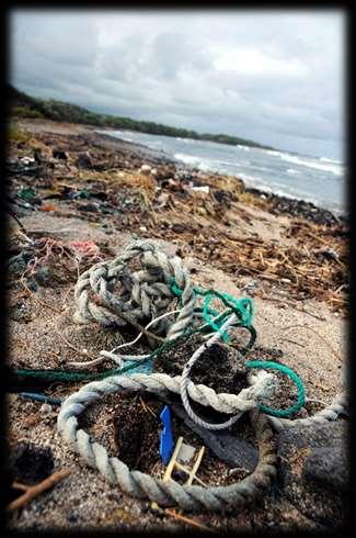 Marine Debris a global problem An estimated 10% of all marine debris is ghost gear, that s over at least 640,000 tonnes of fishing gear abandoned, lost or discarded in our oceans every year!
