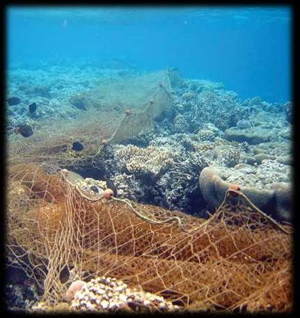 Ghost Gear a fishers problem Risk to fisher safety An estimated 10-15% of global harvestable fish stocks are