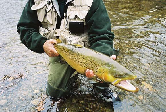 Wisconsin rivers that have fish are no secret.