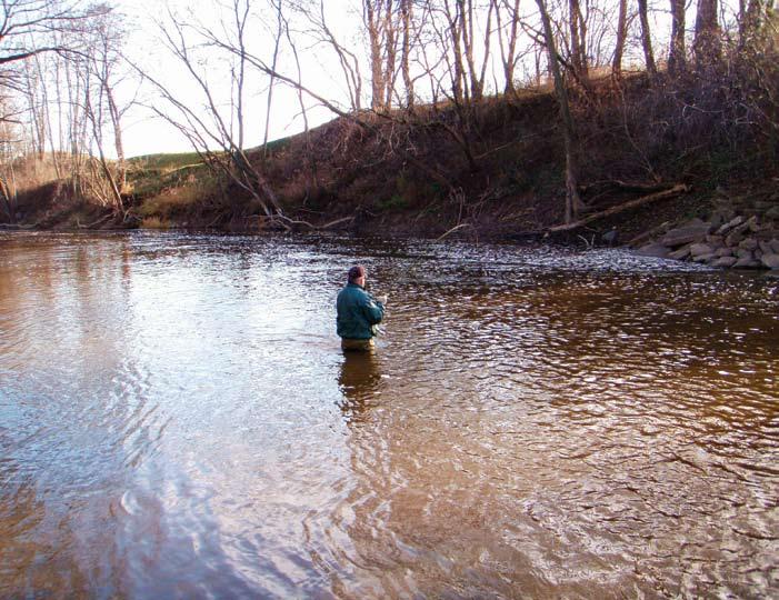 I ve seen steelhead holding close to the bank in two feet of water, other times I ve had to get the fly down deep and fast in six feet of water.