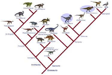Chordates 7 Reptiles were once a very diverse group, especially during the Mesozoic Era, but only a few reptile groups survive today.