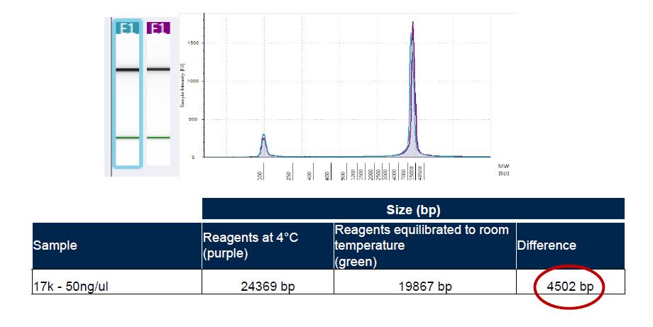 Genomic DNA ScreenTape Genomic DNA sizing o Reagents must be equilibrated at room temperature for 30 minutes before use