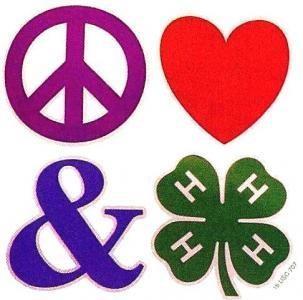 It is for teens 8th grade & up and has a Peace, Love, & 4- H theme. The cost is $90.