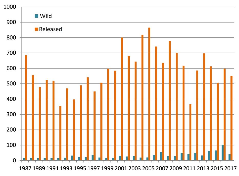Annual production (in thousands of fish) of