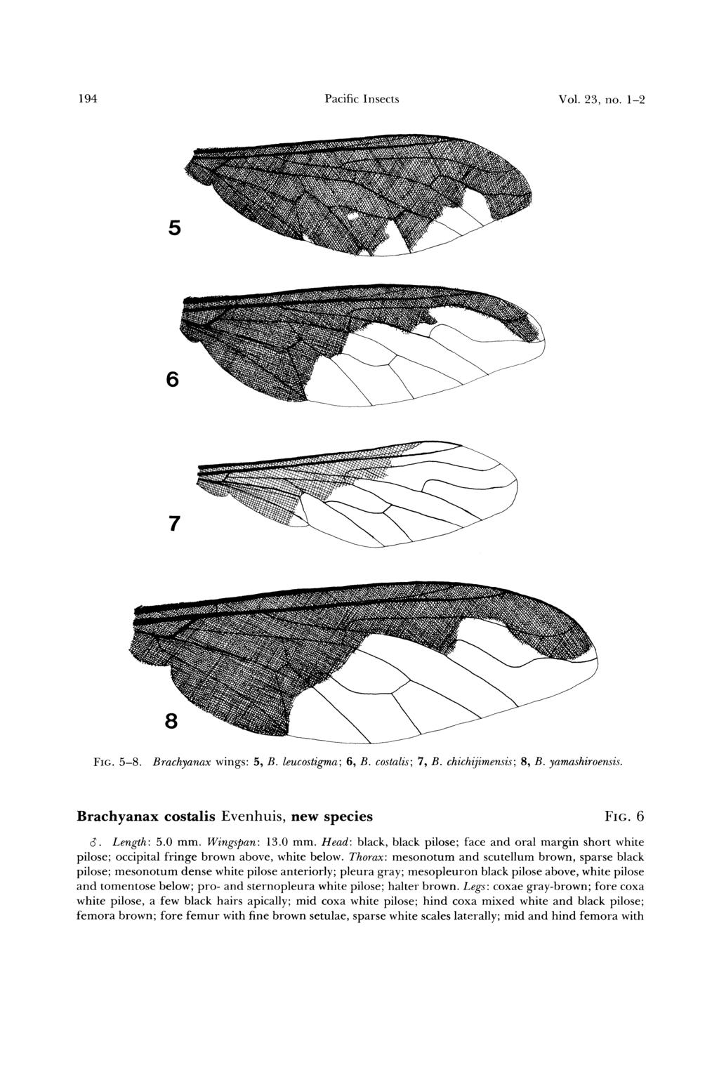 194 Pacific Insects Vol. 23, no. 1-2 FIG. 5-8. Brachyanax wings: 5, B. leucostigma; 6, B. costalis; 7, B. chichijimensis; 8, B. yamashiroensis. Brachyanax costalis Evenhuis, new species FIG. 6 8.