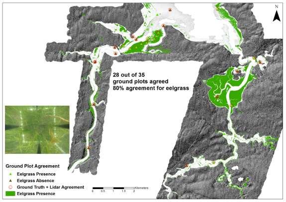 3.5 Bottom Classification Maps 3.5.1 Submerged Aquatic Vegetation Maps The submerged aquatic vegetation (SAV) maps developed using the lidar and photo products were compared to bottom classification