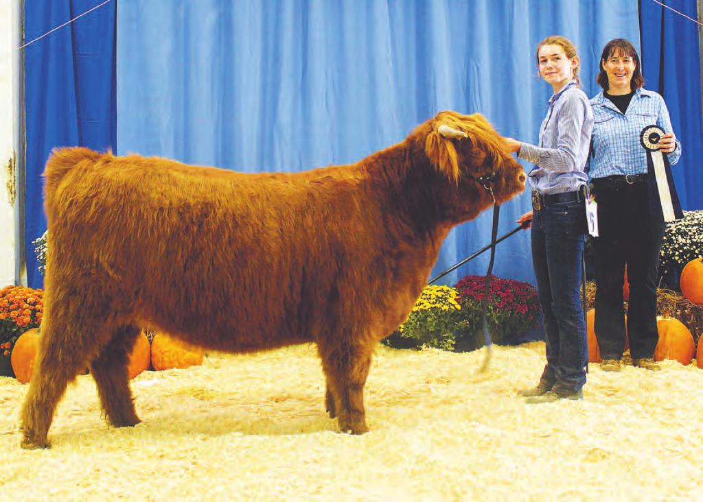 2018 Regional Highland Cattle Show Mower County Fairgrounds 700 12th Street SW Aus n, MN 55912 Saturday, September 22, 2018 9am Junior Show / 12pm Open Show w/bagpiper Breeding Heifers and Bulls