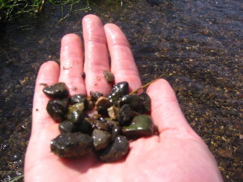 Gravel bottom (streambed) (substrate) Gravel or rocky stream substrates provide ideal spawning grounds for brook trout. Trout construct spawning beds or "redds" in the gravel to deposit their eggs.
