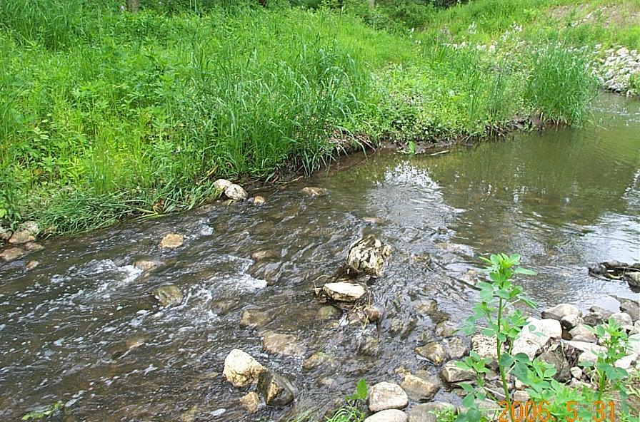 Riffles and Dissolved Oxygen Trout, and especially brook trout, require water that is highly oxygenated.