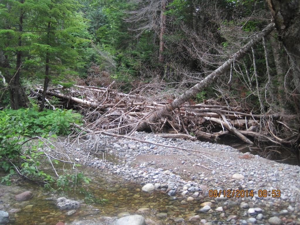 Figure 4: First obstruction (downstream) on Cold