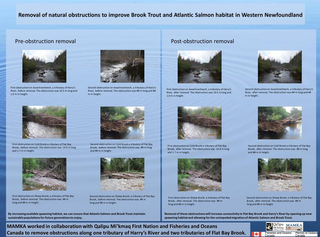 13 Appendix C: Draft sign illustrating obstruction removal on three tributaries in western NL Note: Images and