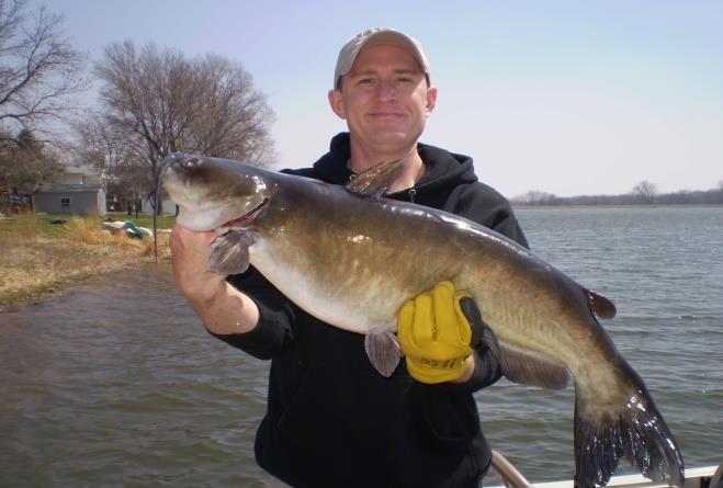 Channel Catfish NE Daily Bag Limit: 5 NE Possession Limit: 20 No Size Limits Apply NE State Record: 41lbs 8oz 39 NE Master Angler Size: Kept-12lbs Released-30 Lake Arrowhead Average Size: 2-8lbs *See