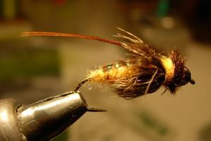 the GBF articles page at the link. Tying tips for the Stick Caddis: 1. Don t blunt-cut marabou after it s been tied in as a tail. Instead, use your fingernails to pop it off at the proper length.