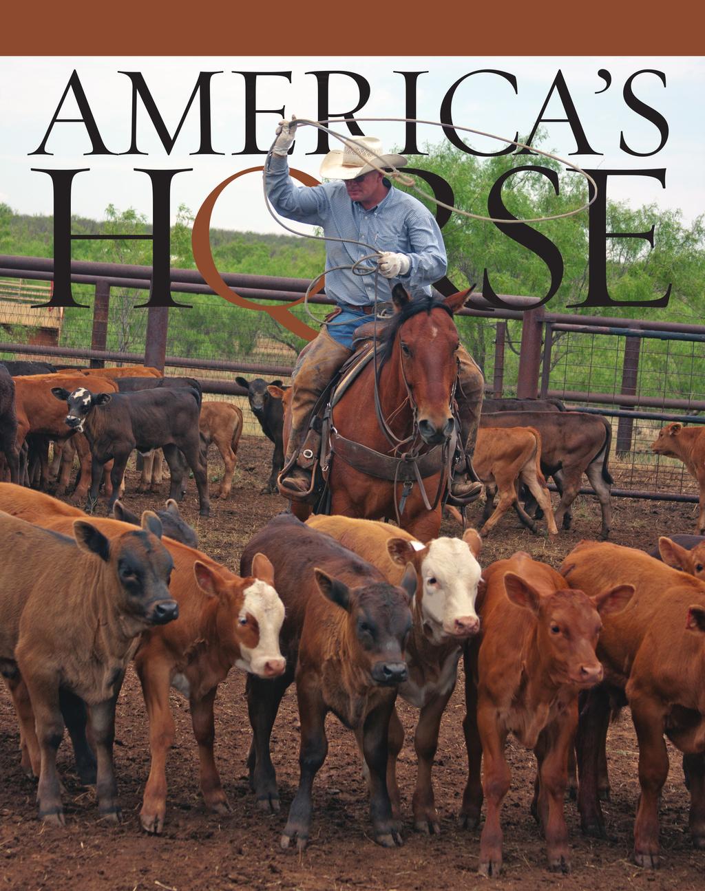 Used by permission of America s Horse from the November 2013 edition.