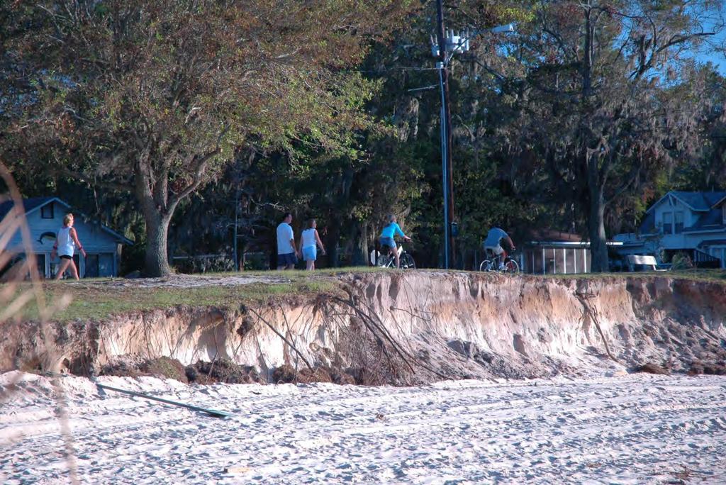 Figure : October 24 photograph shows that some sand (unknown quantity) was mechanically placed on the beaches in the foreground at the northern end of Magnolia Beach Park after bluff erosion