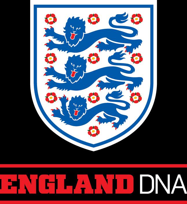 England DNA at the Foundation Phase