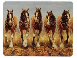 Magnificent Horses Collection Designed by