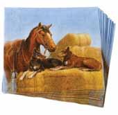 10575 Placemats Set of 6 - Gift boxed Size -