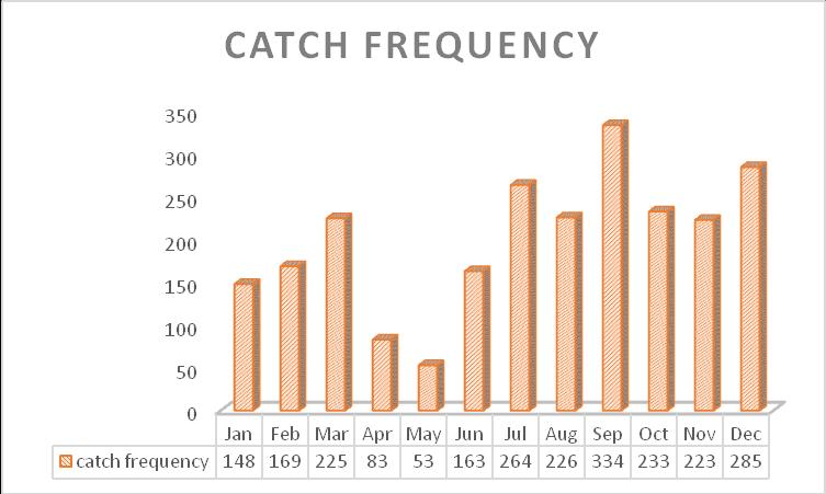 Figure.5. Catch frequency per month Discussion and conclusion. An analysis of the data was done using excel sheet with pivot tables; Table 1.
