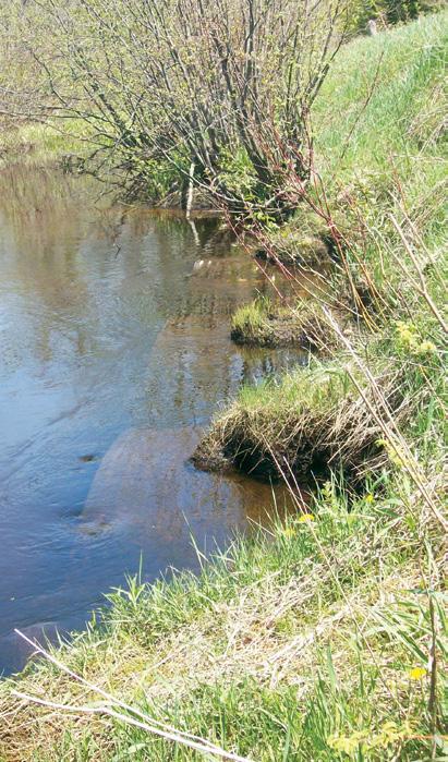 From a fisheries or hydrology perspective, the crossing was severely impacting habitat and fragmenting fish and aquatic species populations for a significant stretch of the river.