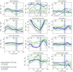 normal gait kinematics and each decrement of 10 points is one standard deviation from normal.
