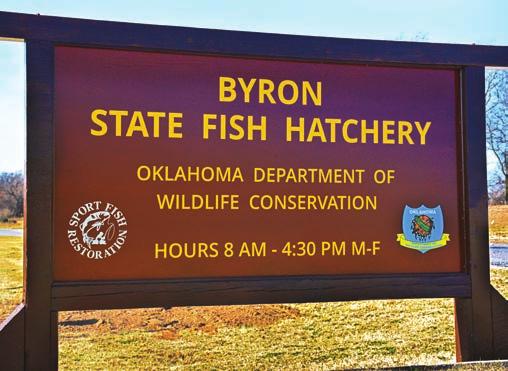 HYBRID SUNFISH BYRON HATCHERY The Oklahoma Department of Wildlife Conservation s Byron Fish Hatchery is in northwestern Oklahoma.