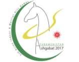 5 TH ASIAN INDOOR & MARTIAL ARTS GAMES 2017 Indian Tennis team emerges victorious at the 5 th AIMAG ABOUT THE GAMES: The 2017 Asian Indoor and Martial Arts Games, which is also counted as the 5th