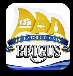 Dear Parents/ Guardians, In order to ensure your child s safety all children are to remain with The Town Of Brigus Summer Program and Program Councillors until picked up by Parent/Guardian