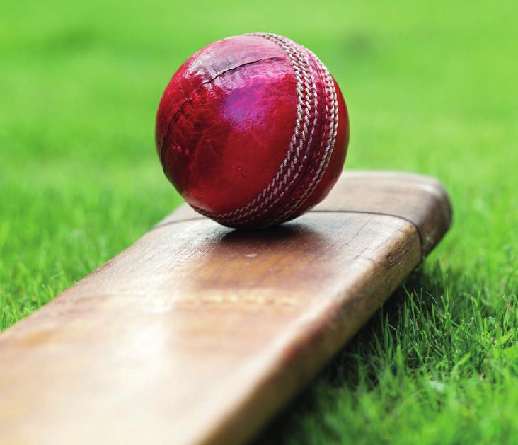of the Pure County Cricket Challenge Making The Right Connection With Shropshire s
