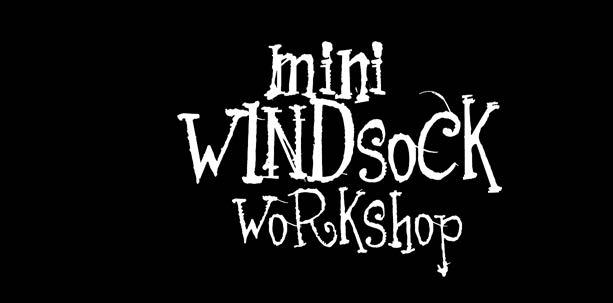 You will build, paint and decorate your own mini windsock to take home and on