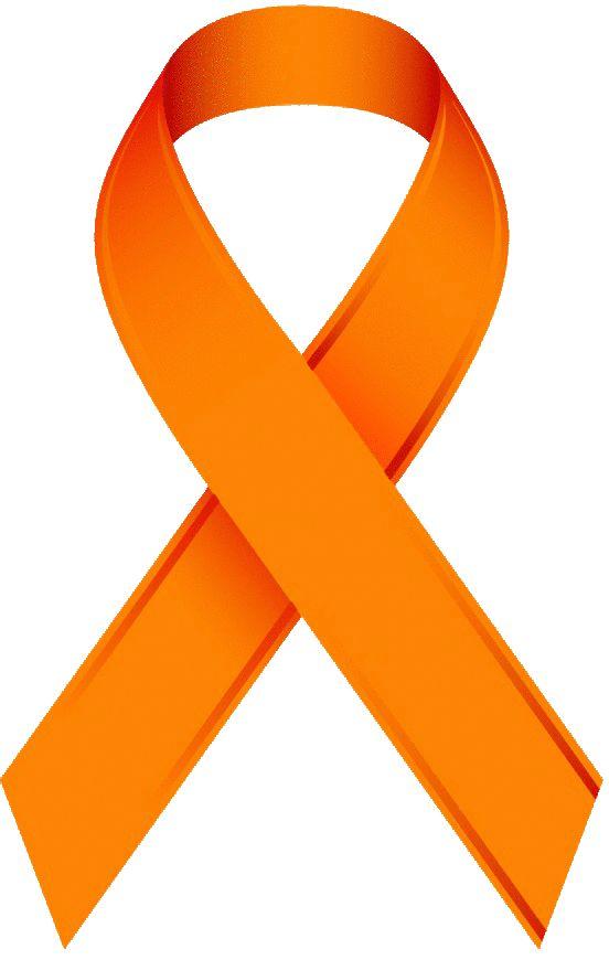 Additional PROF Kyle Pomerleau Scholarship Fundraising Orange Ribbon Tribute Game Donations Bake