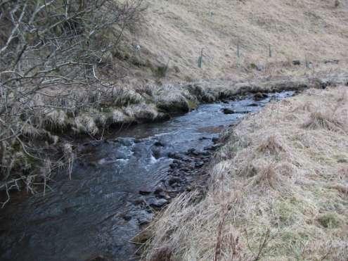 This type of encroaching vegetation provides good cover along the margins, especially for trout which like undercut banks and