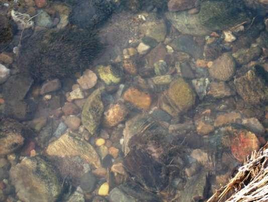 The resultant wide shallow stream is not suitable for larger salmon parr or trout,