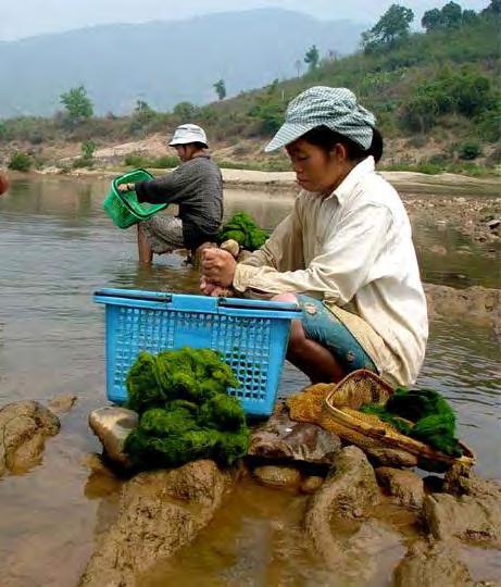 Lessons Learned The Mekong River Commission s mandate and leadership has failed to tackle the challenges of shared water resources- reform is needed; More advocacy efforts directed at the companies