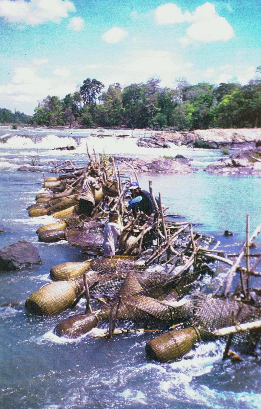5. The Khone falls area has some of the world s most spectacular traditional fisheries for some of the world s most spectacular fish set amidst some of the world s most spectacular riverscapes.