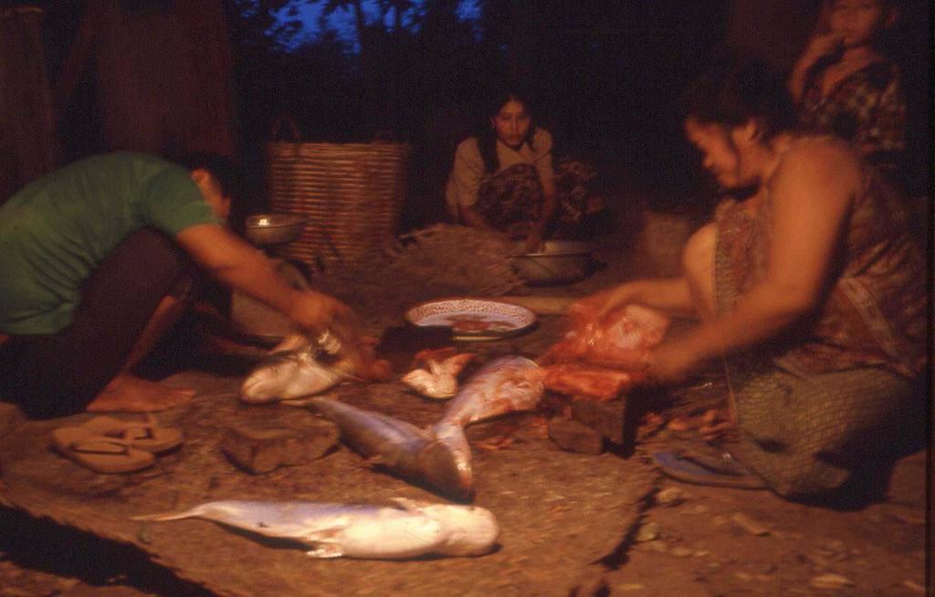 8. Many of the Mekong fishes are highly migratory.