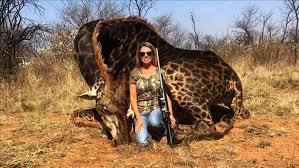 DAY131 Internet fury at woman who killed giraffe Images of an American trophy hunter posing for a photo next to a black giraffe that she had shot and killed in South Africa have caused outrage online.