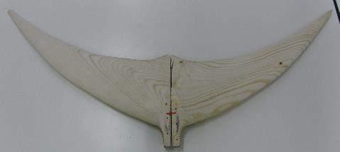 700mm 700mm 140mm 70mm Fig.8 1/1 Scale model of Bluefin tuna caudal fin Fig.9 Rectangular caudal fin (same area and span) Fig.10 Swimming Velocity by using Both Fin Fig.