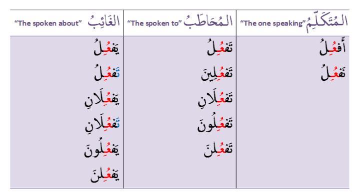 and every verb which has the Ayn as a Yaa belongs to Chapter Two, which ي فعل.ف ع ل ي فع ل is So here we bring both possibilities. The conjugation of the Mudaari is: When the Ayn is a Waaw.