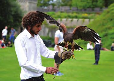 With fascinating demonstrations of falconry, plus medieval games and family activities, everyone will have the chance to play their part in this special tourney.